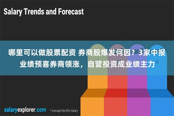 哪里可以做股票配资 券商股爆发何因？3家中报业绩预喜券商领涨，自营投资成业绩主力