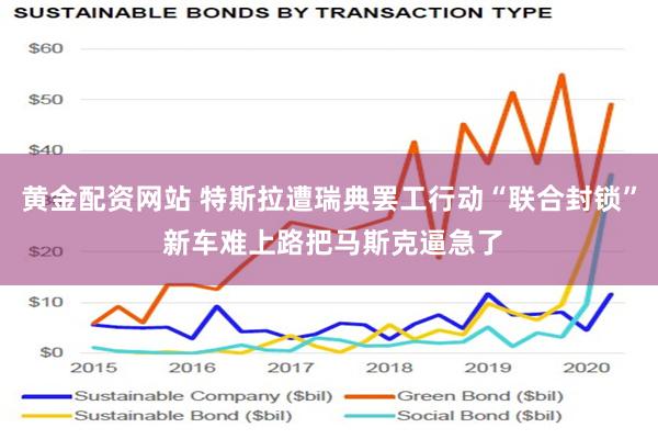 黄金配资网站 特斯拉遭瑞典罢工行动“联合封锁” 新车难上路把马斯克逼急了