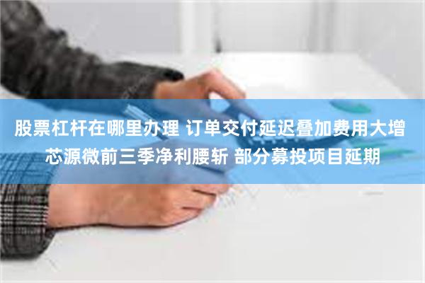 股票杠杆在哪里办理 订单交付延迟叠加费用大增 芯源微前三季净利腰斩 部分募投项目延期