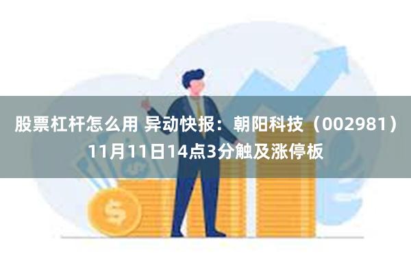 股票杠杆怎么用 异动快报：朝阳科技（002981）11月11日14点3分触及涨停板