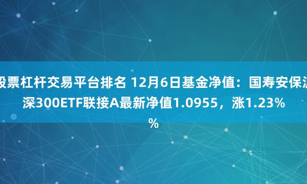 股票杠杆交易平台排名 12月6日基金净值：国寿安保沪深300ETF联接A最新净值1.0955，涨1.23%