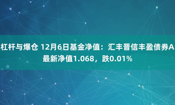 杠杆与爆仓 12月6日基金净值：汇丰晋信丰盈债券A最新净值1.068，跌0.01%