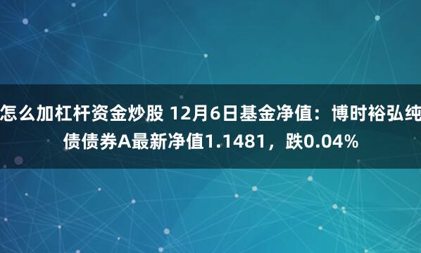 怎么加杠杆资金炒股 12月6日基金净值：博时裕弘纯债债券A最新净值1.1481，跌0.04%