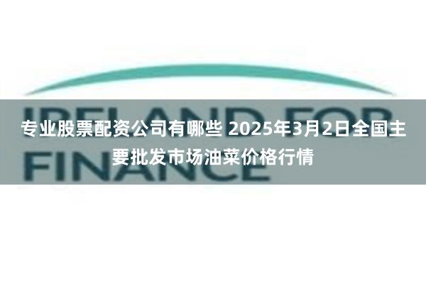 专业股票配资公司有哪些 2025年3月2日全国主要批发市场油菜价格行情