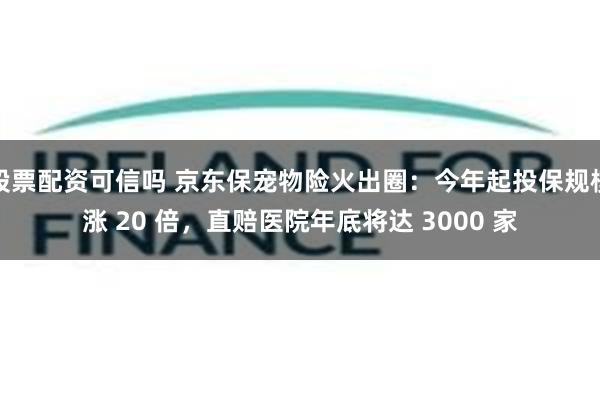 股票配资可信吗 京东保宠物险火出圈：今年起投保规模涨 20 倍，直赔医院年底将达 3000 家